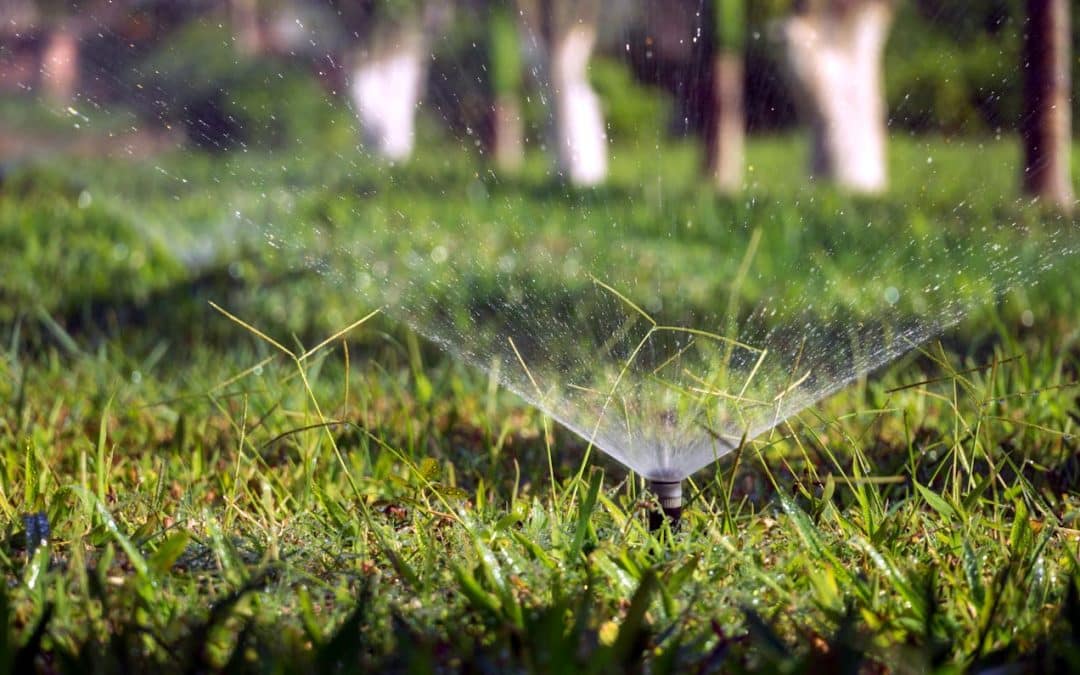 How Do Rain Sensors for Sprinkler Systems Work?