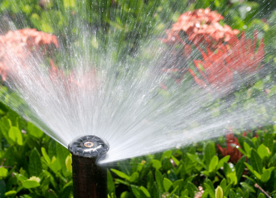 Signs That Your Sprinkler System May Be in Need of Repair